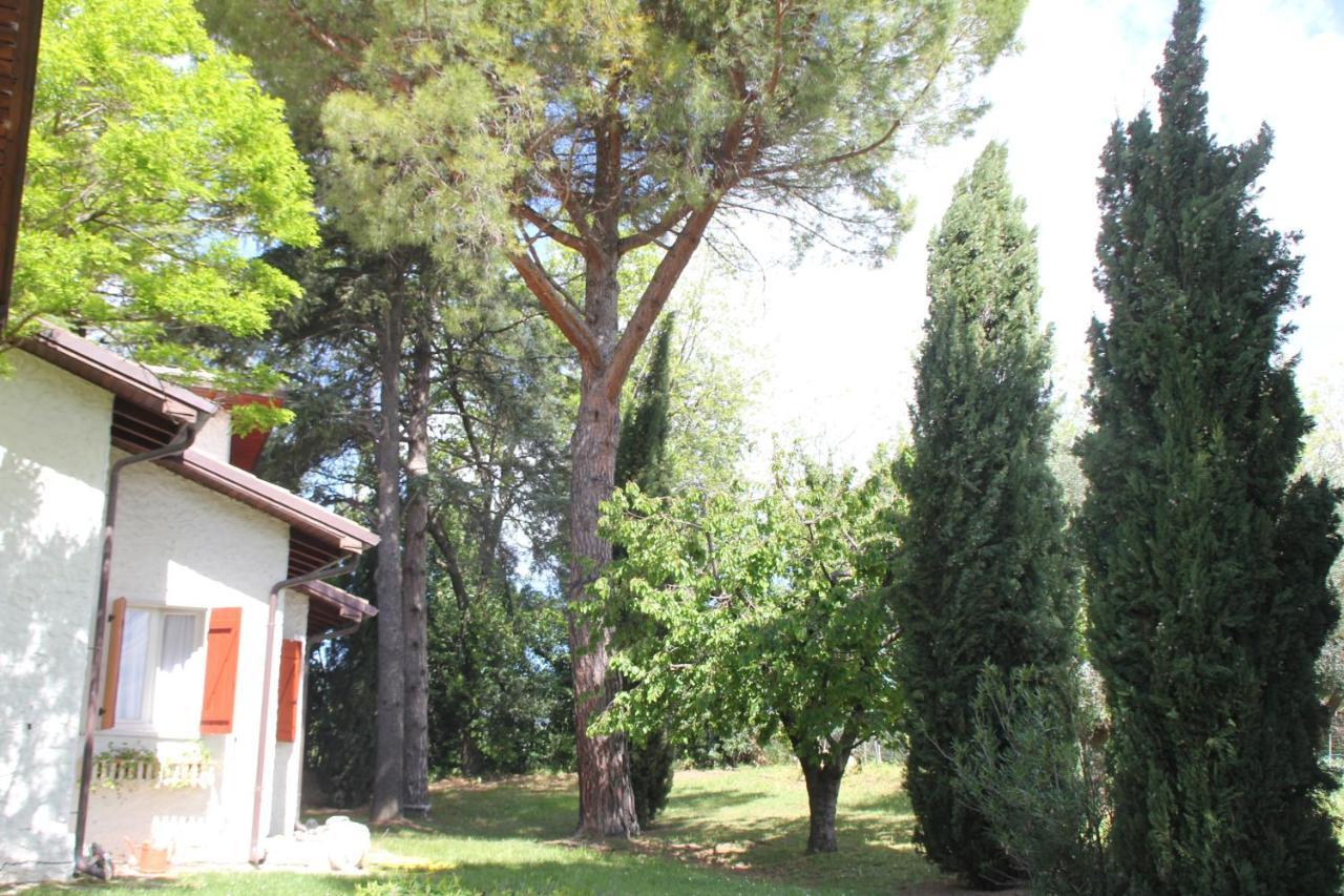 La Villa Del Nonno Montefelcino 외부 사진